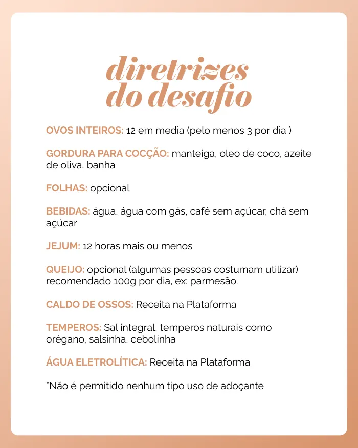 Folha de diretrizes do desafio: o que pode e o que não pode