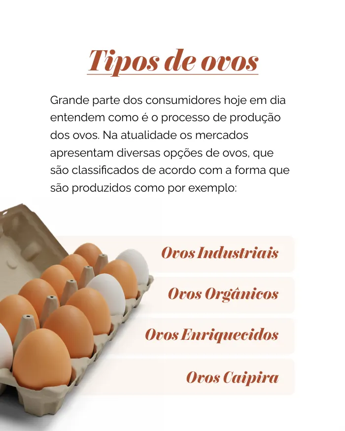 Página do e-book Categorias dos Ovos: tipos de ovos